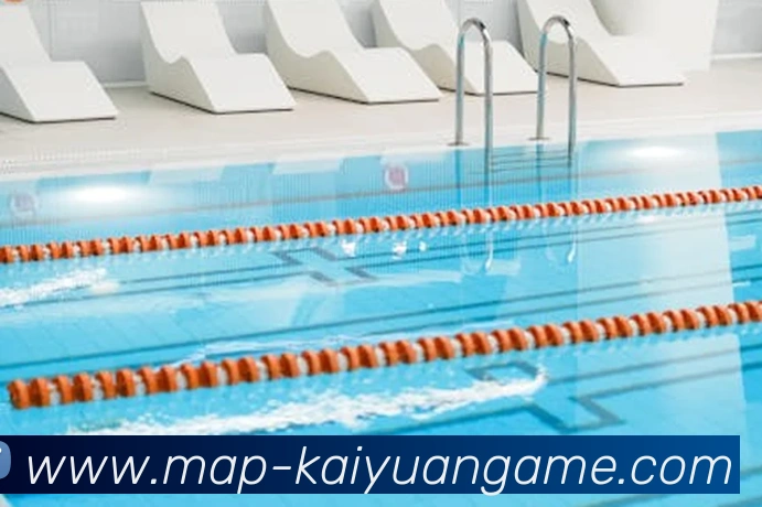 App Interface Preview