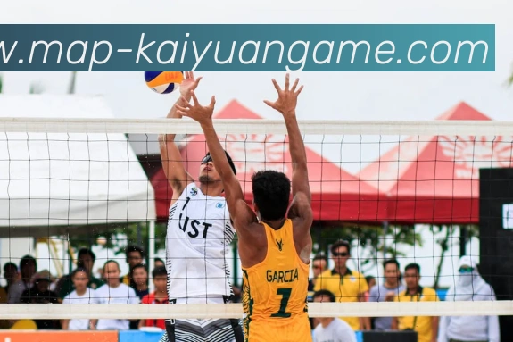 开元棋牌网址APP 封面图